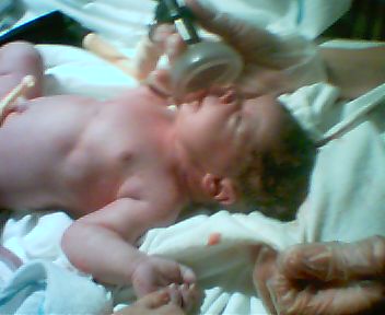 CRE00062 JPG        24,576  01-13-04  2:20a